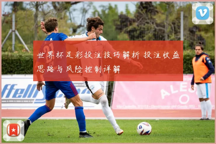 世界杯足彩投注技巧解析 投注收益思路与风险控制详解