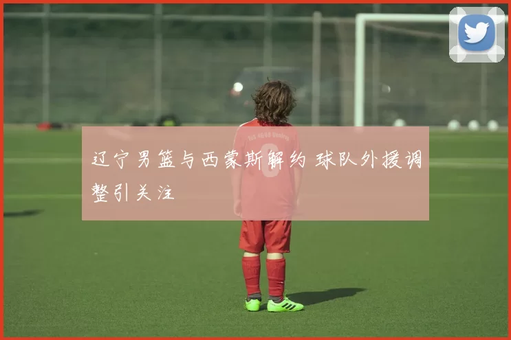 辽宁男篮与西蒙斯解约 球队外援调整引关注