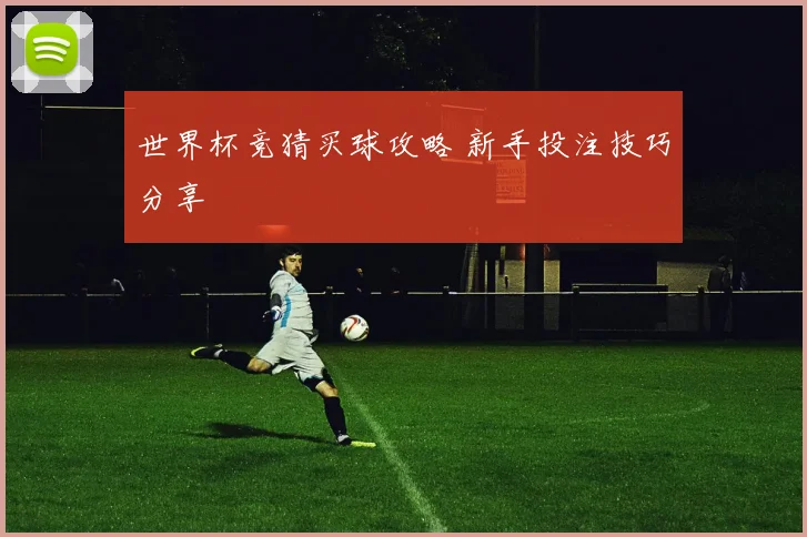 世界杯竞猜买球攻略 新手投注技巧分享