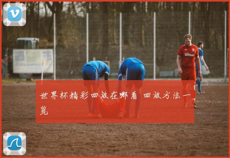 世界杯精彩回放在哪看 回放方法一览